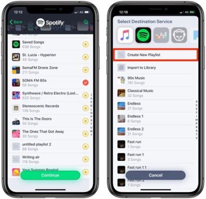 how to transfer songs from apple music to spotify and the impact of digital music on our daily lives