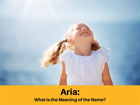 what is aria in music what does aria mean in italian